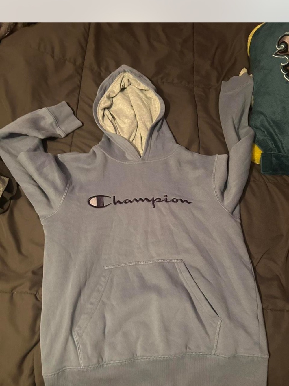 Champion Lavender Pullover Hoodie with Gray Lined Hood